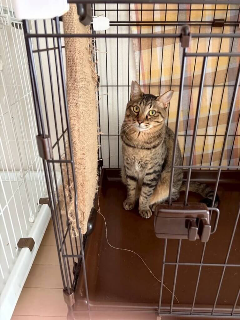 エム♂